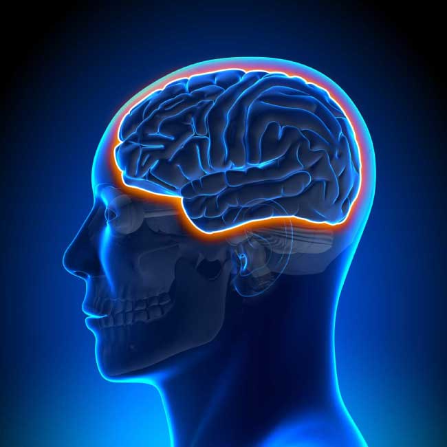 뇌-혈관 장벽 피할 수 있는 뇌질환 치료 기술 개발