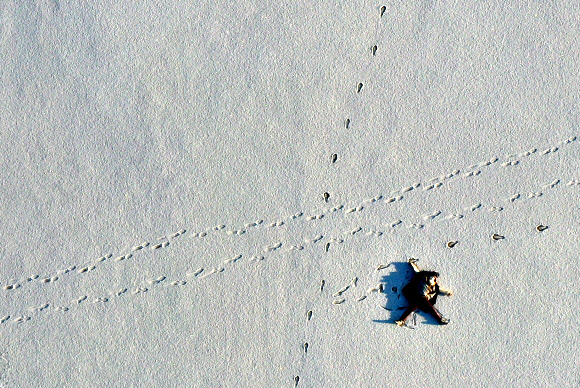 눈과 함께 찾아온 동심