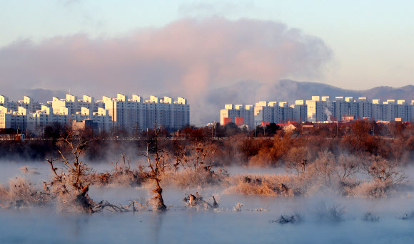 한파에 활짝 핀 소양강 상고대