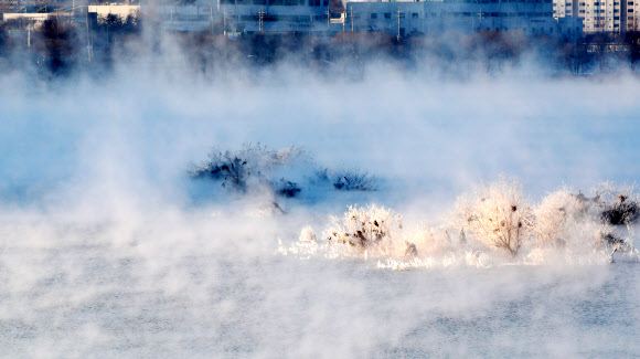 한파에 활짝 핀 소양강 상고대