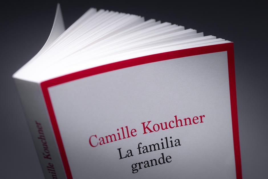 프랑스 호사 카미유 쿠슈네르가 펴낸 책 ‘라 파밀리아 그란데’(대가족). 그는 이 책에서 자신의 쌍둥이 형제가 양아버지이자 저명한 정치인인 올리비에 뒤아멜에게 30여년 전 성폭행을 당했다고 주장했다. 트위터 캡쳐