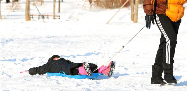 ‘대(大)자로 즐기는 눈썰매’