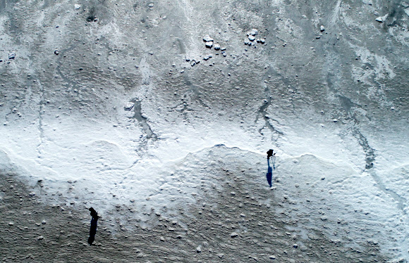 ‘남극이 아니에요’