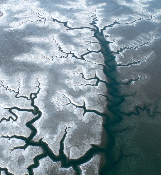 북극 한파가 그린 그림