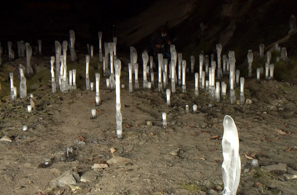 최근 영하 20도 안팎의 북극발 동장군이 기승을 부린 충북 제천시 덕산면 보덕굴에 ‘역(逆)고드름’ 100여 개가 만들어졌다고 14일 보덕굴 측이 전했다.  사진은 땅에서 위로 자라는 고드름. 2021.1.14 연합뉴스