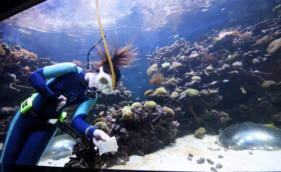 오픈 앞두고 깨끗하게