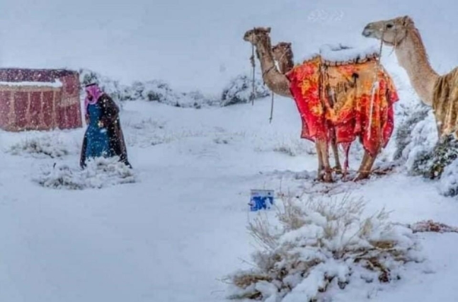 14일(현지시간) 눈이 쌓인 사우디아라비아(사우디) 남서부의 아시르 지역. 페이스북 캡처