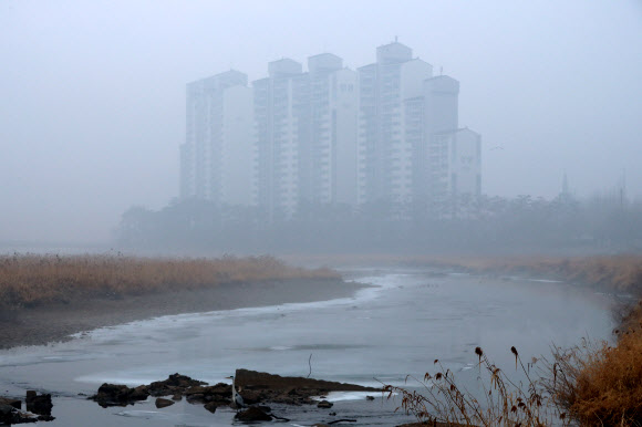 겨울비가 그친 후
