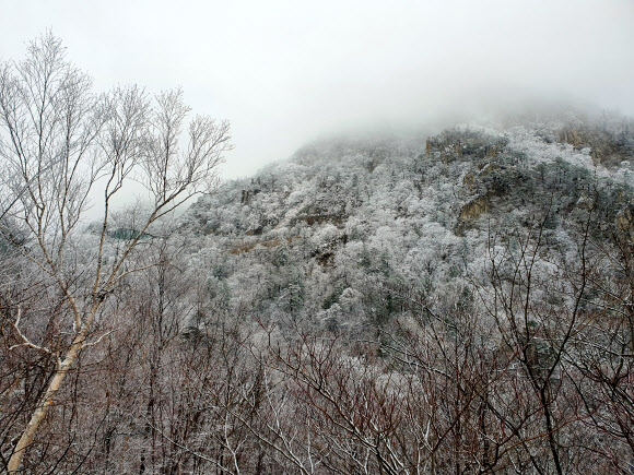 눈 내린 한계령