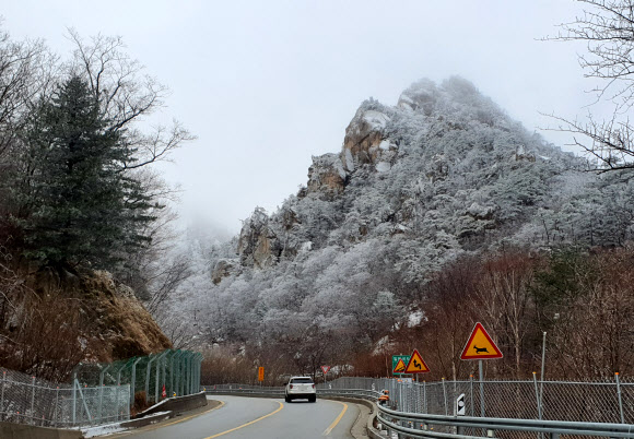 눈 내린 한계령