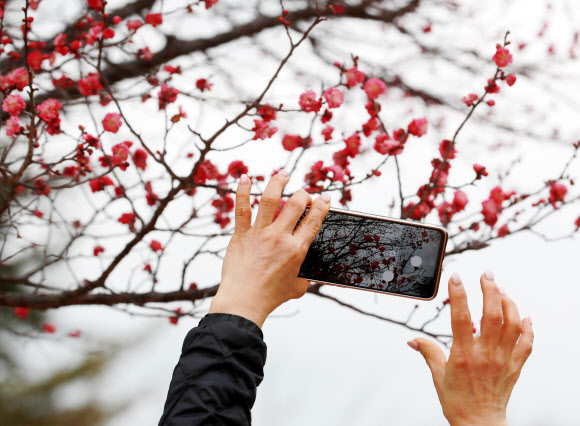 이른 봄을 담다