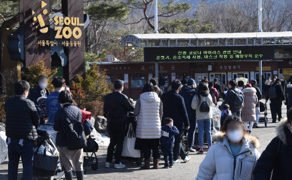 3차 대유행 끝난 건 아닌데… 날씨 풀리자 동물원에 줄섰다