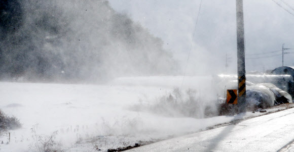 눈이 내린 28일 오후 강원 춘천시 사북면 고탄리 일대에 강풍이 불어 눈보라가 날리고 있다. 2021.1.28  연합뉴스