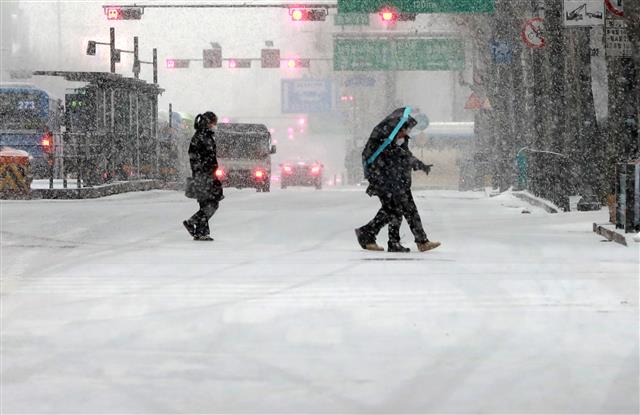 도로 하얗게 덮은 눈