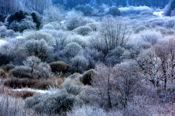 몽환적인 인제 비밀의 정원