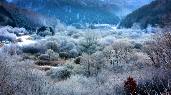 몽환적 분위기 연출한 인제 비밀의 정원