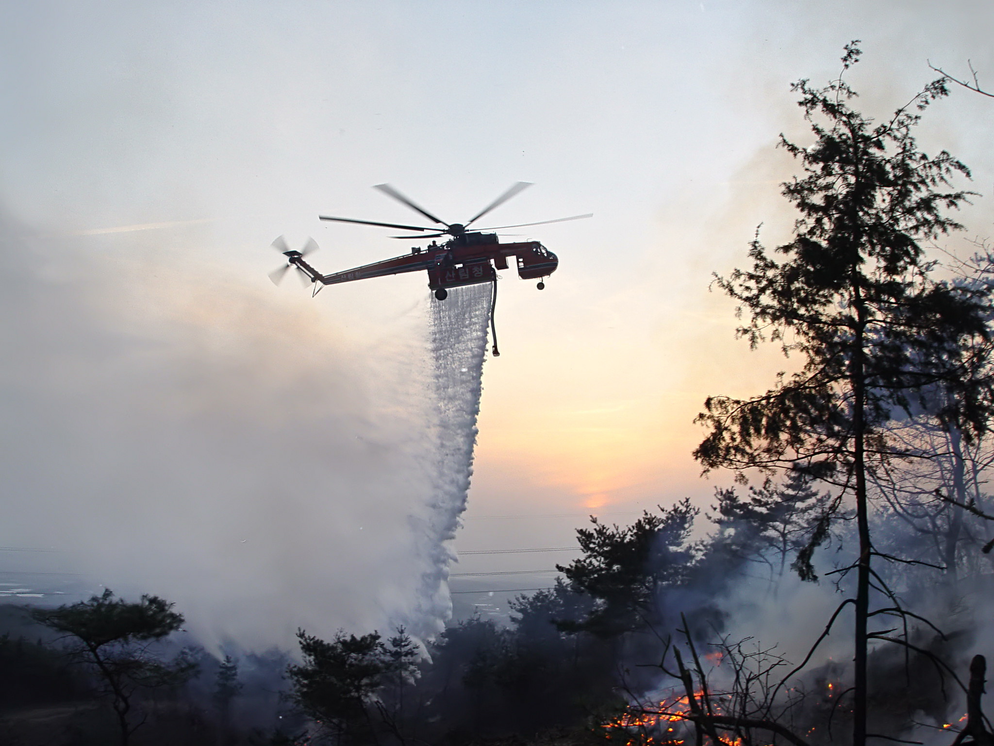 지난해 최대 산불 피해(1944㏊)를 기록한 경북 안동 산불 현장에 투입된 진화헬기가 물을 투하하고 있다. 서울신문 DB
