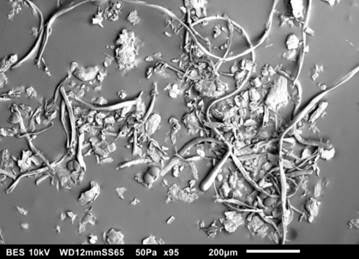 현미경으로 관찰한 먼지 모습. 다이슨 제공