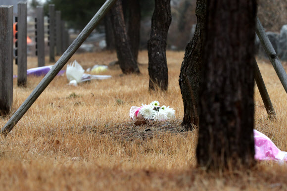 수목장림에 놓인 꽃