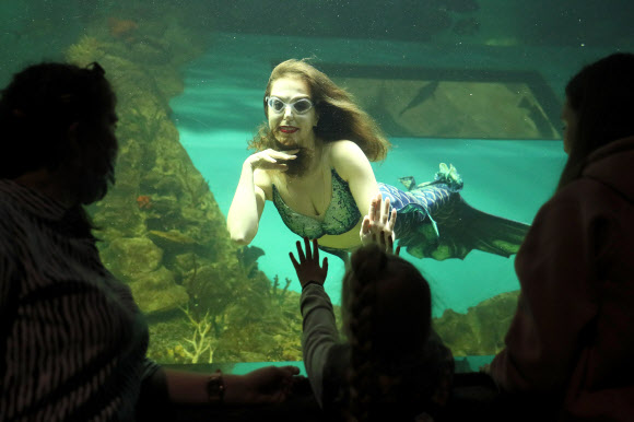 어린이들이 14일(현지시간) 러시아 예카테린부르크 오세아니아륨의 수족관에서 인어 복장을 한 잠수부를 보고 있다. 타스 연합뉴스