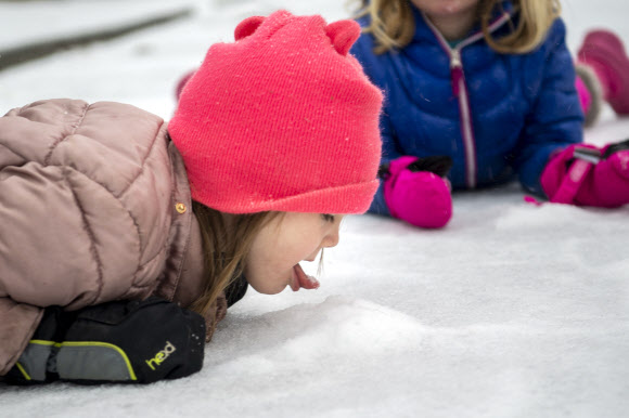 어린이가 15일(현지시간) 미국 테네시주 내슈빌에서 로클랜드 스프링스 인근에서 눈을 핥고 있다. AP 연합뉴스