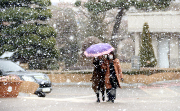 폭설 내리는 서산시청