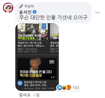 만화가 윤서인씨 페이스북 캡처