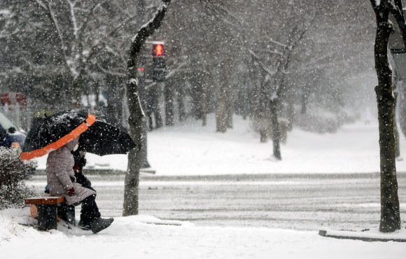 “미끄러운 눈길 좀 쉬어갈까”