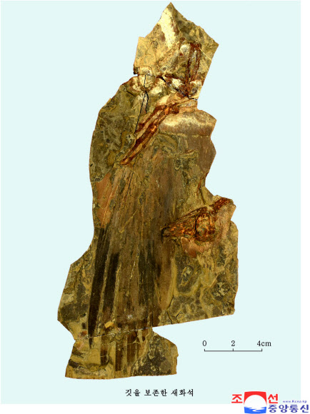 북한 신의주에서 발굴된 중생대 새 화석