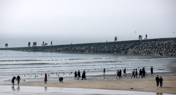 따뜻해진 날씨, 해변 나들이 온 시민들
