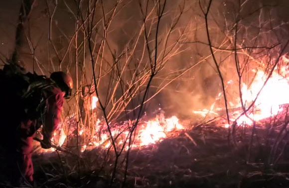 산불과 밤샘 사투