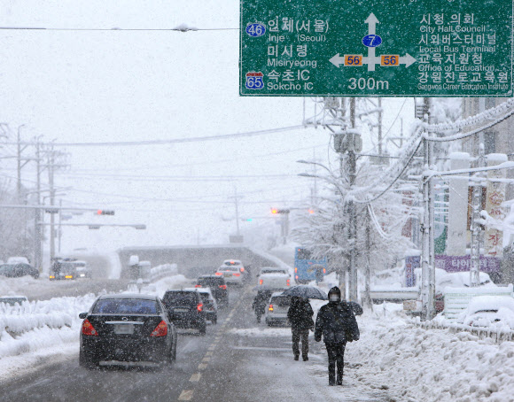 차도로 나온 시민들