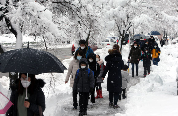 차 버리고 걷자