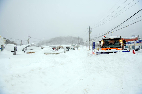 진부령 폭설