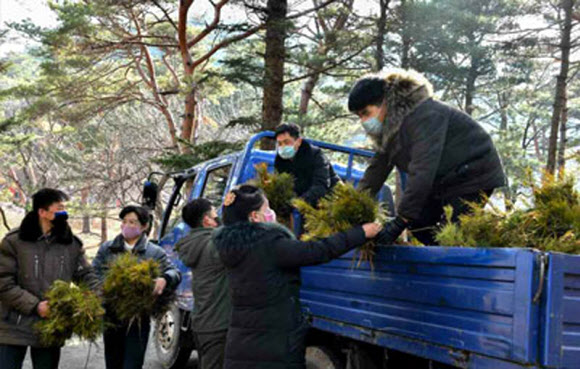 북한, 녹화사업에 박차…식수절에 나무 약 백만그루 심어