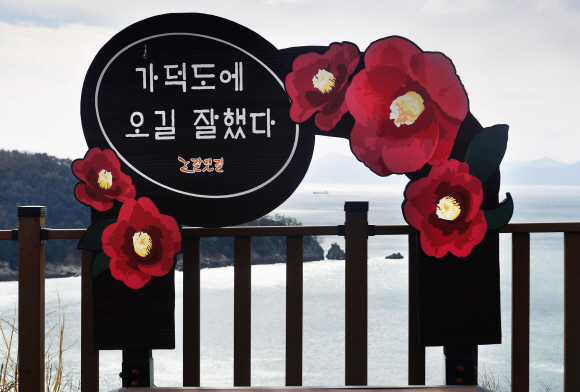 대항전망대의 동백꽃 표지판.