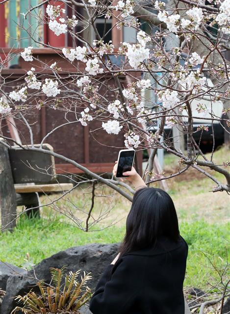‘이른 봄맞이’