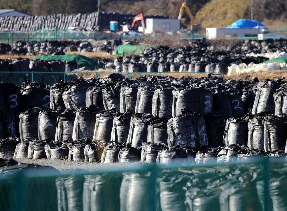 일본 후쿠시마 원전 사고 10주년이 다가온 가운데 지난 3일 오후 일본 후쿠시마현 도미오카마치의 귀환곤란지역 임시보관소에 주변 오염 제거 작업에서 수거한 토양과 풀을 담은 검은 자루가 가득 쌓여 있다. 후쿠시마 연합뉴스