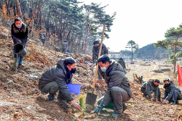 북한 노동당 기관지 노동신문은 8일 “사리원시 일꾼(간부)들과 근로자들이 봄철 나무심기에 한사람 같이 떨쳐나 애국의 구슬땀을 아낌없이 바쳐나가고 있다”라며 관련 사진을 공개했다. 이들은 식수절에도 수천그루 나무모를 주변 산에 심었으며 성과를 확대하고 있다고 신문은 설명했다. 평양 노동신문=뉴스1