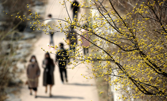 전국 대부분 지역의 낮 기온이 15도 이상으로 오르며 포근한 봄 날씨를 보인 10일 오후 시민들이 서울 청계천을 산책하고 있다. 2021.3.10  연합뉴스