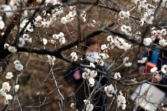 전국 대부분 지역의 낮 기온이 15도 이상으로 오르며 포근한 봄 날씨를 보인 10일 오후 시민들이 서울 청계천을 산책하고 있다. 2021.3.10  연합뉴스