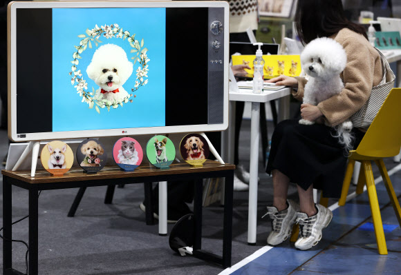 12일 강남구 SETEC에서 열린 케이펫페어(대한민국 반려동물산업 박람회)를 찾은 반려견과 견주가 사진 촬영 상담을 받고 있다. 2021.3.12  연합뉴스