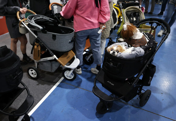 12일 강남구 SETEC에서 열린 케이펫페어(대한민국 반려동물산업 박람회)를 찾은 반려견이 견주와 함께 강아지 유모차를 구경하고 있다. 2021.3.12  연합뉴스