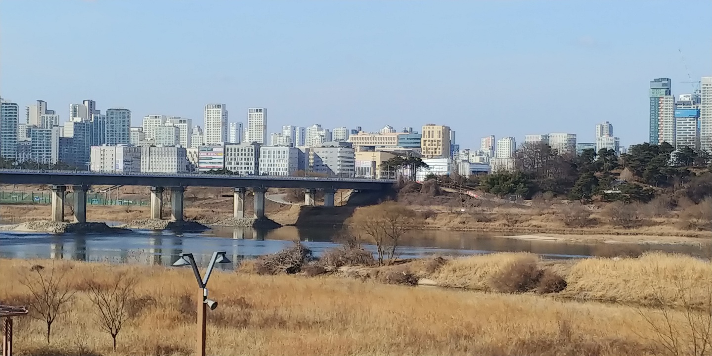 아파트 등 부동산 가격이 하루가 다르게 급등하면서 투기 의혹이 집중되고 있는 세종시. 도심 가운데로 금강이 흐른다. 이천열 기자