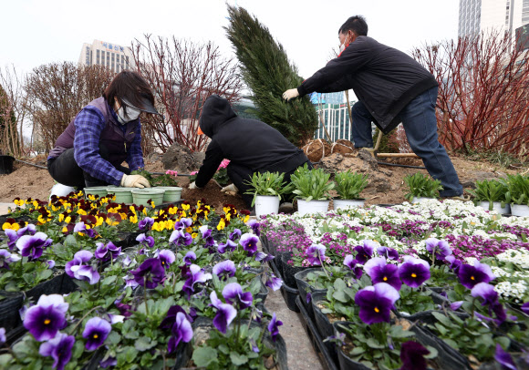 서울에 찾아온 봄