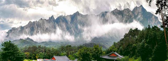 북한 노동당 기관지 노동신문은 14일 “아름다운 절승경개를 자랑하는 우리 조국”이라며 관련 사진 여러 장을 공개했다. 사진은 금강산 집선봉의 구름.  평양 노동신문 뉴스1