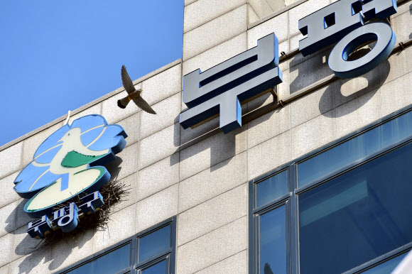 인천 부평구청 청사 간판에 천연기념물 황조롱이 둥지 틀어