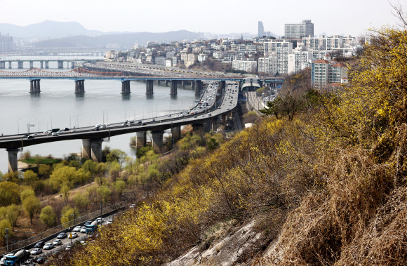 봄빛 물들어가는 서울