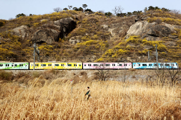 봄빛 물들어가는 서울