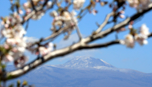22일 오후 제주 서귀포시 안덕면 화순리에서 바라본 한라산 정상부에 상고대가 피어 있다. 2021.3.22  연합뉴스